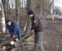 обрізка дерев 0їх9й 45гнх09г6р