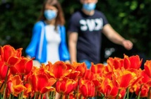 13 травня 7 підтверджень: 1028 осіб інфіковано COVID-19 в Тернопільській області
