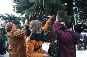 Хода віри матерів і дітей 9 лютого 2014