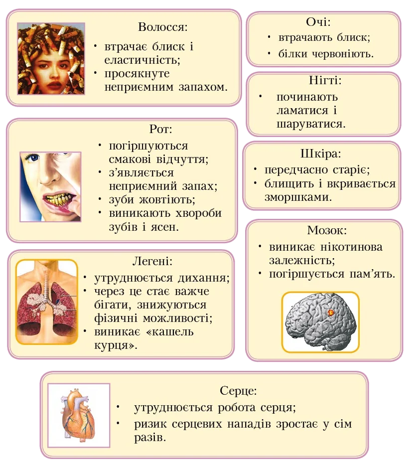Короткие пробежки снижают риск 8 заболеваний – исследование Женское лицо с иконками сердца, легких и мозга: короткие пробежки снижают риск 8 болезней.