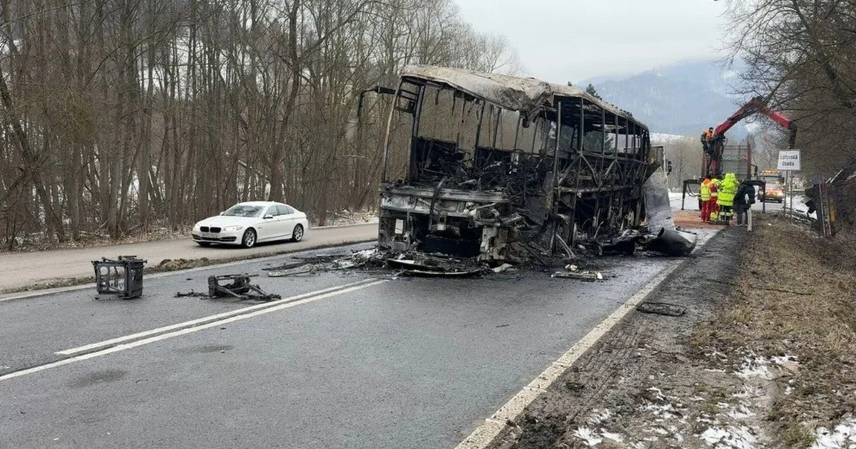 Згорілий автобус POPOVICH BUS на трасі E50 у Словаччині після пожежі