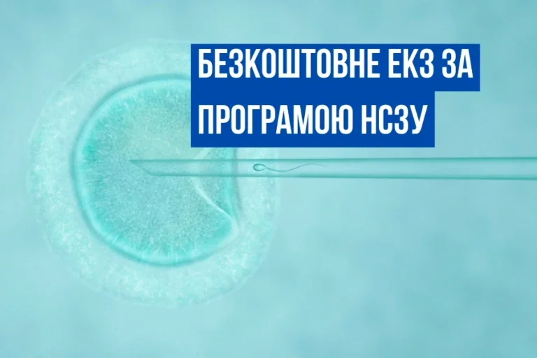Иллюстрация ЭКО по программе НСЗУ: яйцеклетка с иглой и надписью «Бесплатное ЭКО»