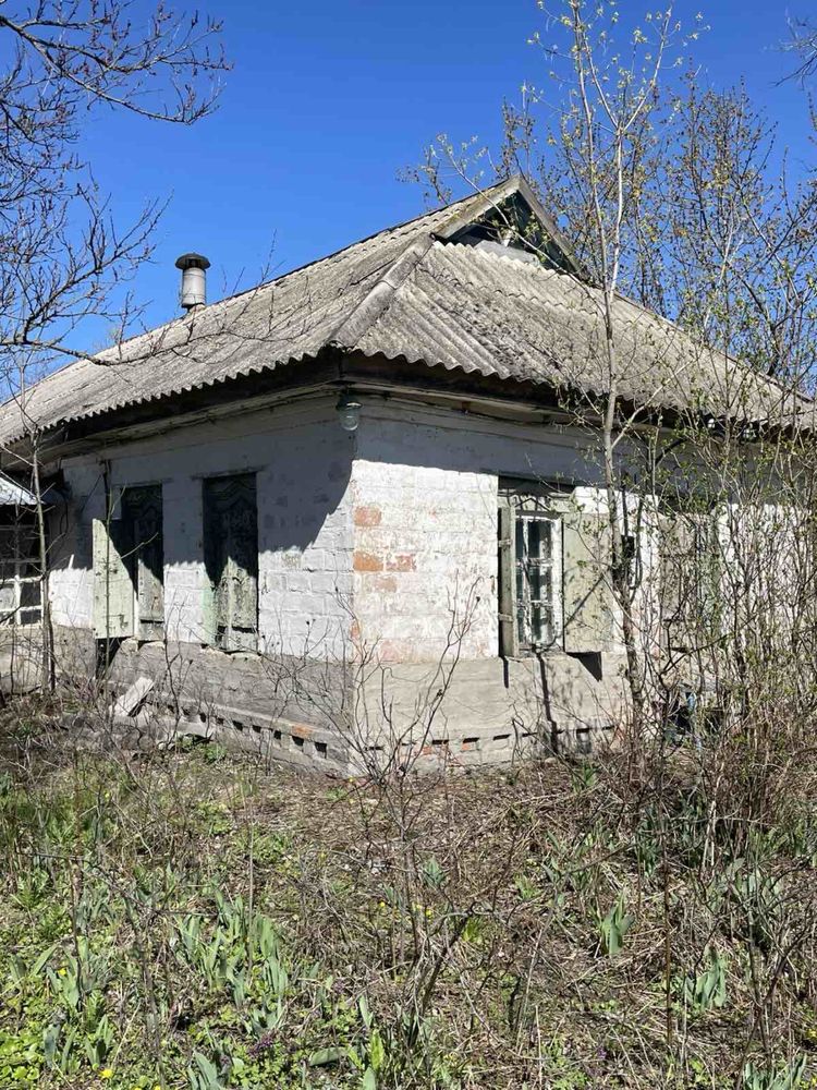 Мужчина купил «дачу мечты» за $1000, но нашли скрытый риск Старая дача-руина за $1000 на берегу реки с повреждённой крышей и окнами