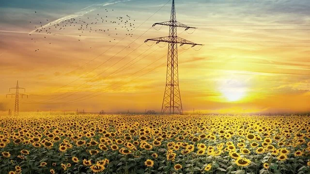Літо з електрикою: високовольтні лінії над соняшниковим полем на заході сонця