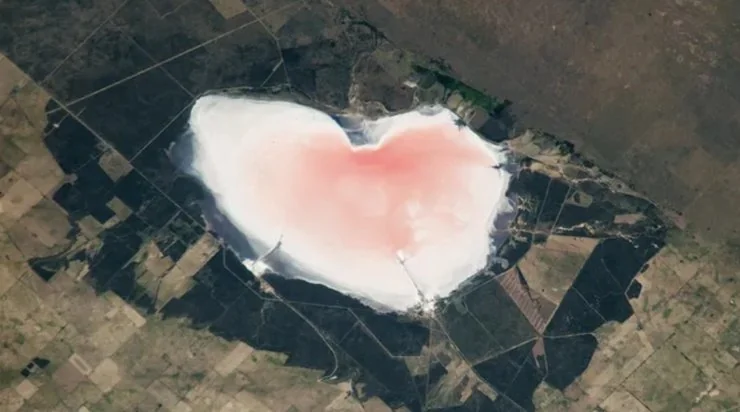 Рожеве солоне озеро Салінас-Лас-Барранкас у формі серця в Аргентині, фото NASA з космосу