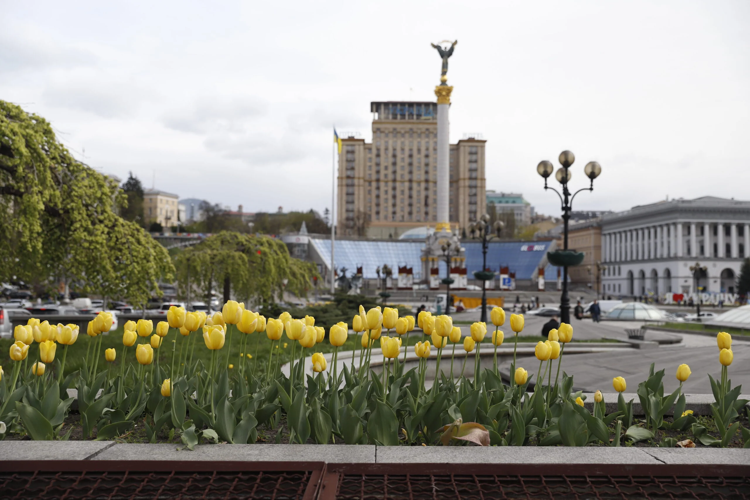 Жовті тюльпани цвітуть біля Батьківщини-Матері в Києві під хмарним весняним небом