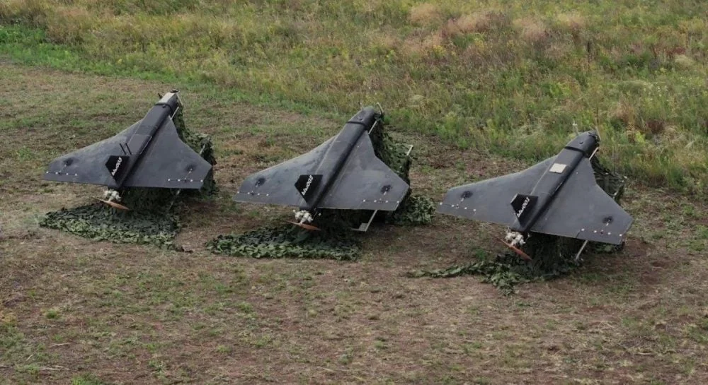 Три російські дрони «Гербера» замасковані на траві