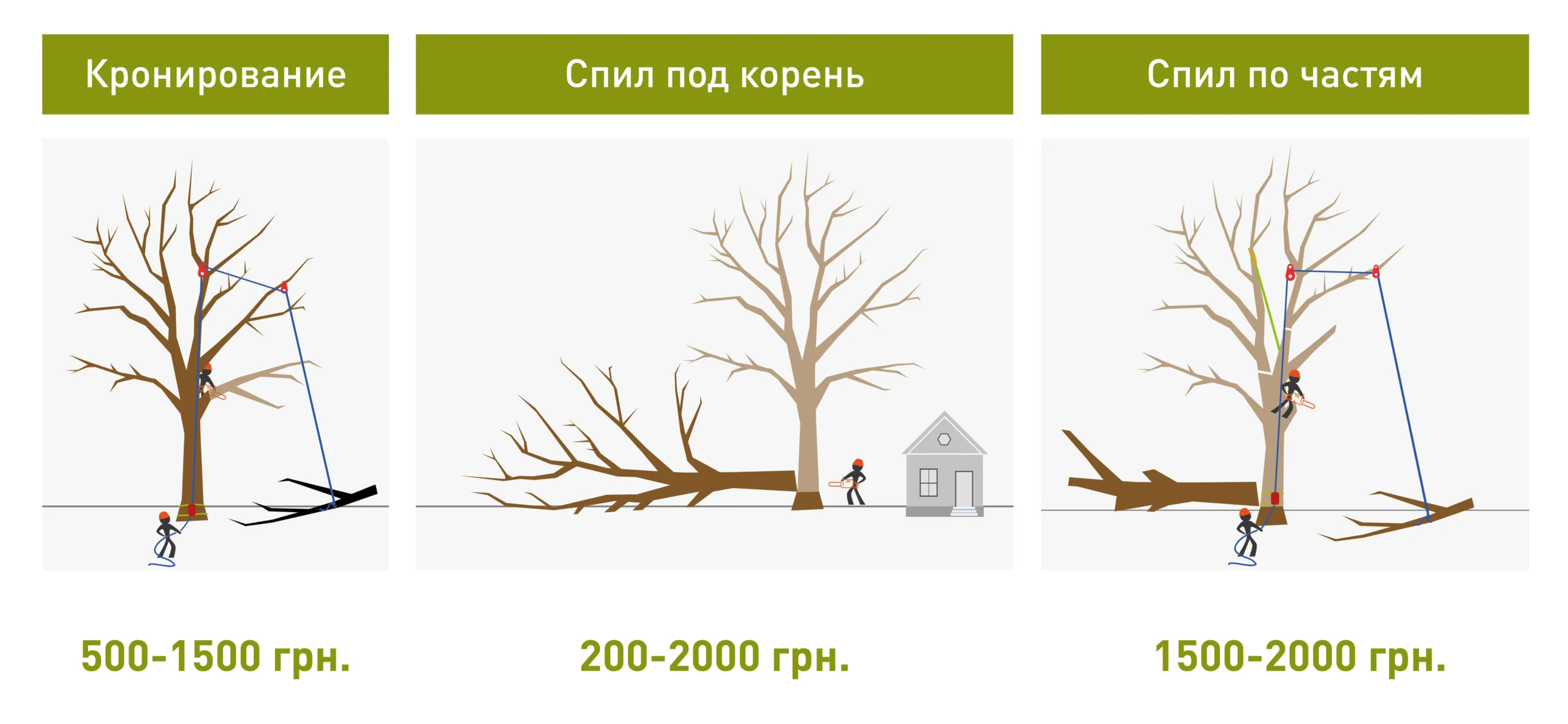 Три способи спилювання сухого дерева: кроніювання, під корінь та по частинах
