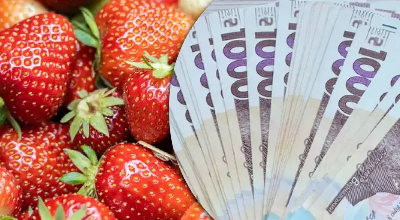 Свіжа українська полуниця поряд з гривнями: ціни від 180 грн/кг