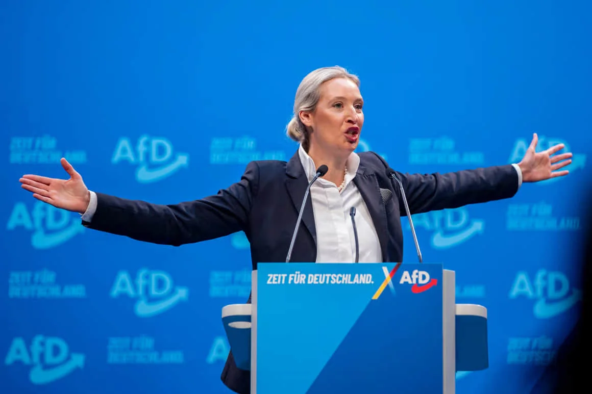 Аліса Вайдель виступає на конференції AfD про загрозу безпеці Німеччини