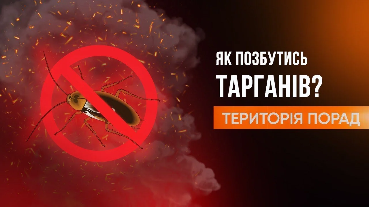 Как навсегда избавиться от тараканов: один секрет, который работает Перечёркнутый таракан в запрещающем знаке с надписью как избавиться от тараканов