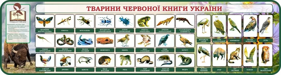 Животные Красной книги Украины с иллюстрациями исчезающих видов сусликов, птиц и насекомых